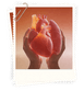 120+ heart and lung transplants